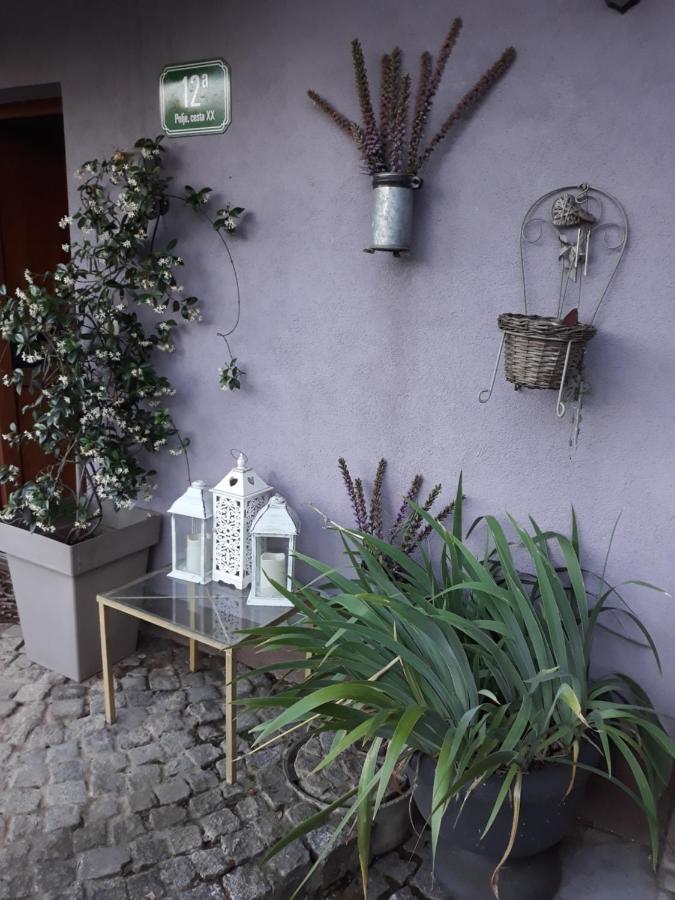 Art Room With Outdoor Living Lubiana Esterno foto