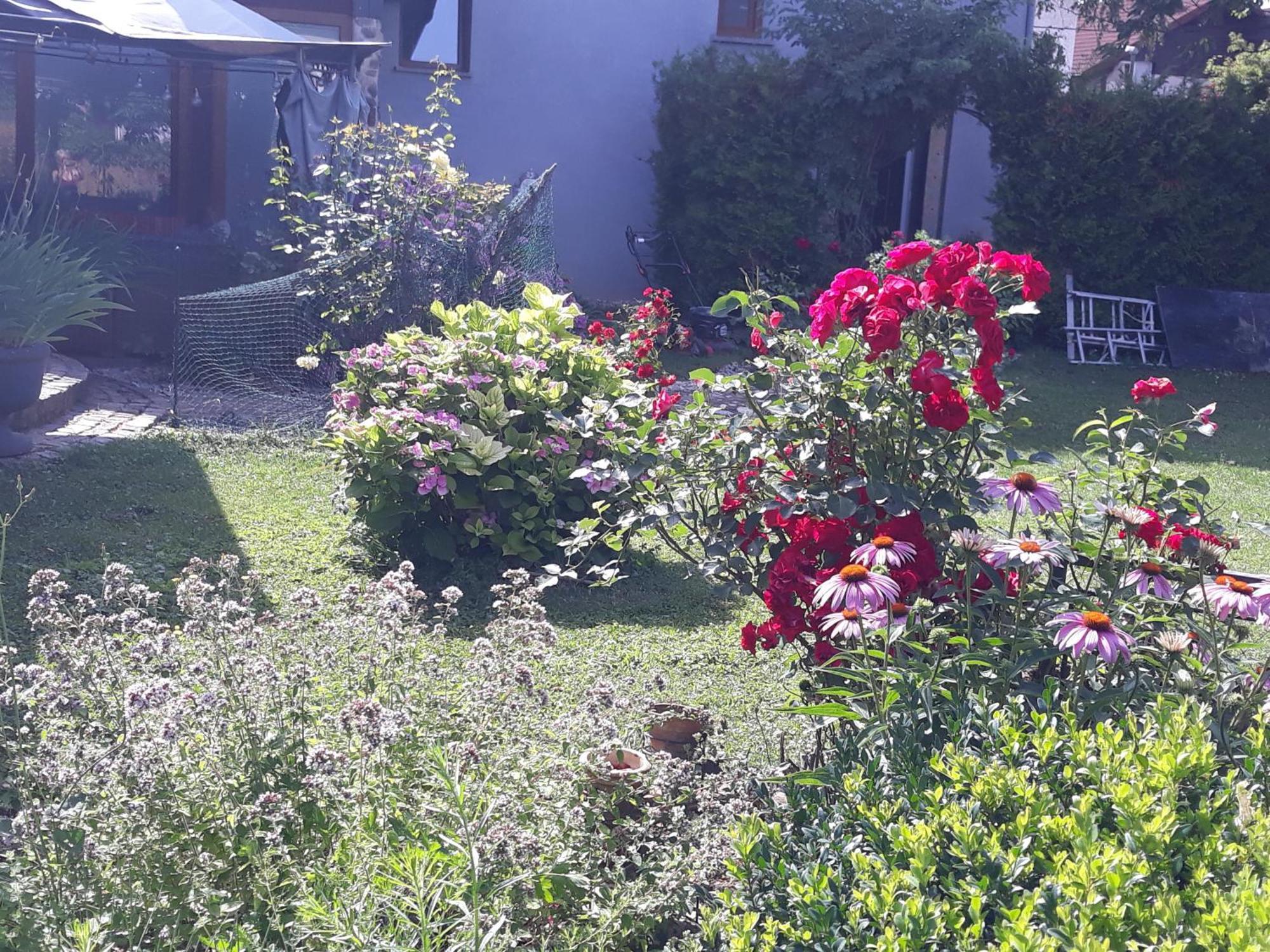 Art Room With Outdoor Living Lubiana Esterno foto
